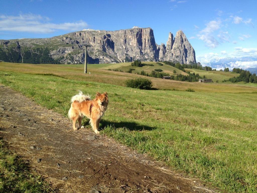 Siusi Sciliar Apartment Kültér fotó